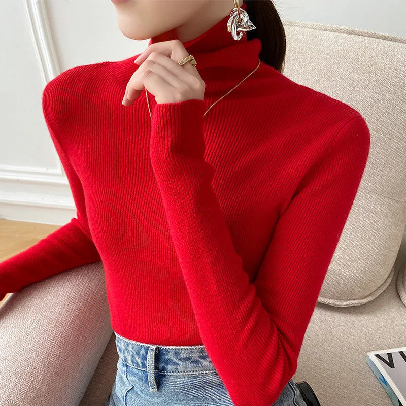 Cashmere Turtleneck Sweater
